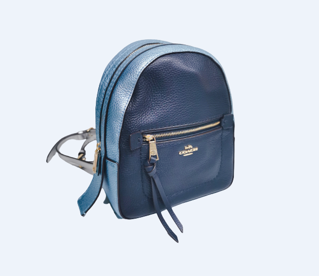Purse sales backpack coach