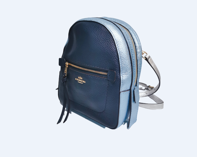 Purse backpack clearance coach