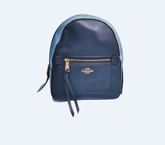 Purse 2025 backpack coach
